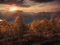Kanton Ticino, Drzewa, Zachód słońca, Jezioro Maggiore, Szwajcaria, Góry Alpy, Jesień