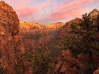 Kanion, Skały, Góry, Drzewa, Zion Canyon, Utah, Stany Zjednoczone, Sosny, Park Narodowy Zion