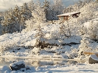 Drzewa, Dom, Zima, Staw, Krzewy
