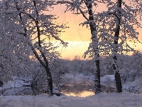 Staw, Drzewa, Zima