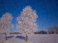 Szadź, Drzewa, Śnieg