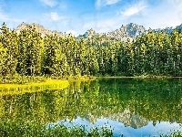 Drzewa, Odbicie Jezioro, Góry, Szczyty, Jezioro