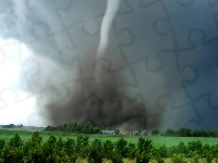 Drzewa, Domy, Tornado
