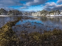 Drzewa, Jezioro, Domki, Zima, Trawa, Śnieg