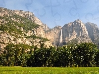 Trawa, Drzewa, Góry