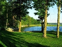 Drzewa, Jezioro, Trawa, Niebo