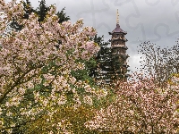 Pagoda, Drzewa, Wieża, Wiosna, Kwiaty