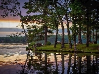 Drzewa, Jezioro Delton, Wisconsin, Odbicie