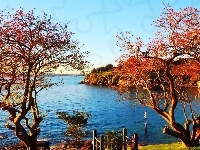 Drzewa, Park, Woda, Australia