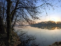 Drzewa, Jezioro, Wschód słońca