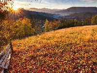 Jesień, Polska, Wschód słońca, Ogrodzenie, Beskidy, Góry, Drzewa