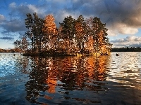 Drzewa, Finlandia, Jezioro, Wysepka, Vuoksa