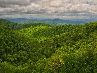 Zielone, Drzewa, Wzgórza, Góry, Zalesione