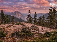 Drzewa, Góry, Wzgórze, Kamienie