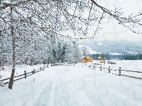 Śnieg, Domy, Droga, Drzewa, Zima