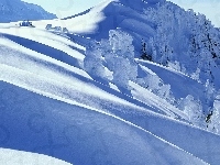 Śnieg, Zima, Drzewa, Wzgórze