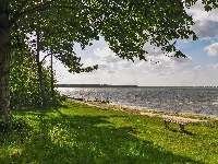 Drzewo, Jezioro, Ławka, Zieleń