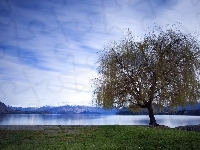 Jezioro, Drzewo, Góry
