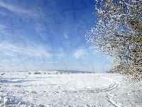 Śnieg, Niebo, Drzewo, Zima