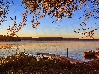 Drzewo, Słońca, Jezioro, Pomost, Wschód