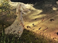 Drzewo, Kobieta, Ptaki, Fantasy