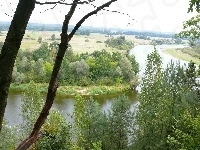 Drzewo, Rzeka