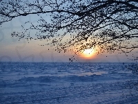 Drzewo, Zima, Zachód, Słońca, Śnieg