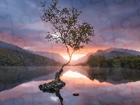 Drzewo, Zachód słońca, Góry, Jezioro, Llyn Padarn, Snowdonia, Walia, Kamienie