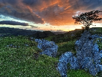 Drzewo, Park Narodowy Snowdonia, Skały, Chmury, Góry, Walia, Zachód słońca