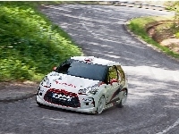 Citroen DS3, Rajd