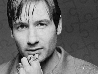 David Duchovny, sygnety