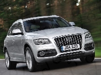 Duży, Przód, Audi Q5, Grill