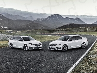 Samochody, Dwa, Białe, Skoda Octavia
