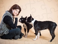 Dwa, Kobieta, Boston terriery