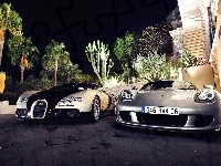 Dwa, Kaktusy, Porsche Carrera Veyron