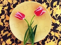 Czerwone, Dwa, Tulipany
