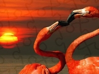 Flamingi, Dwa, Pocałunek