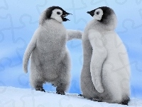 Małe, Dwa, Pingwiny