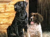 Szopa, Labrador Retriever, Dwa, Pieski, Cocker spaniel angielski