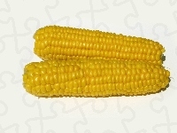 Kolby, Dwie, Kukurydzy