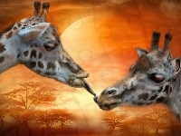 Żyrafy, Dwie, Pocałunek
