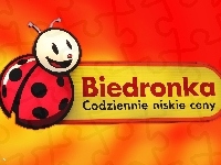 Reklama, Dyskont Biedronka