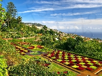 Dywany, Kwiatowe, Park, Wyspa Madera, Morze, Miasteczka, Portugalia, Panorama