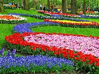 Wiosna, Dywany, Park, Spacerowicze, Kwiatowe