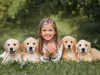 Szczeniaki, Dziewczynka, Cztery, Golden retrievery