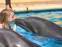 Delfiny, Dziewczynka, Pocałunek