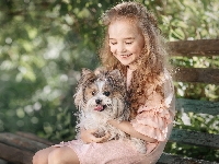 Yorkshire terrier, Pies, Dziewczynka
