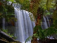Wodospad, Dżungla, Palmy