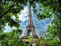 Eiffla, Paryż, Wieża, Drzewa