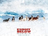 Antarktyda, Eight Below